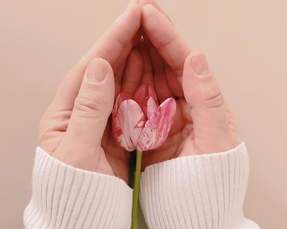 a gesture of protection for love by holding a rose carefully in hands